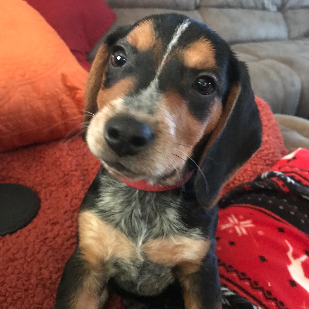 Meet your Posher, Alisia